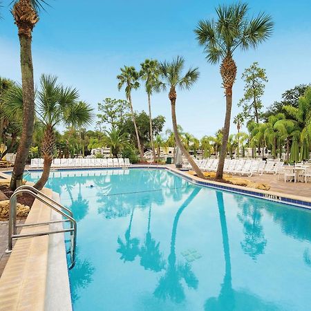 Tropical Palms Resort 塞利布雷申 外观 照片